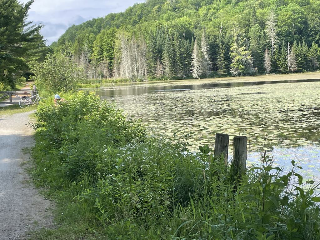 Ça s’appelle rouler en pleine nature!&nbsp;[PHOTOS]
