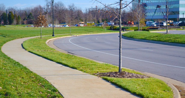 Et si c’était la faute des trottoirs?
