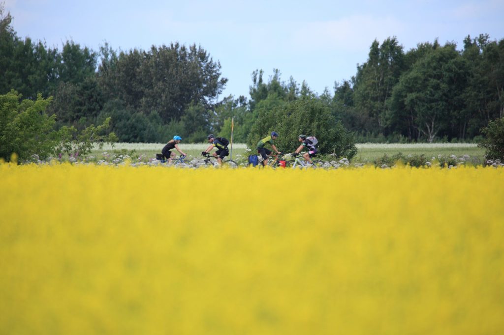 La Véloroute des Bleuets a senti le boom touristique cet&nbsp;été