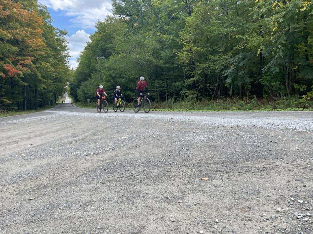 Le mariage parfait entre les carottes et la garnotte&nbsp;[PHOTOS]