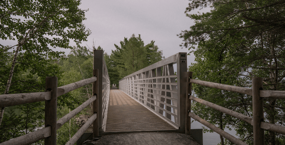 Arbres scalpés au-dessus de la piste cyclable: Lac-Brome impose des certificats d&rsquo;autorisation