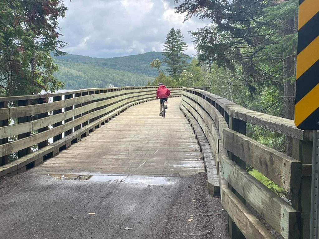 Le Petit Témis à son tour théâtre de coupes d’arbres&nbsp;interdites