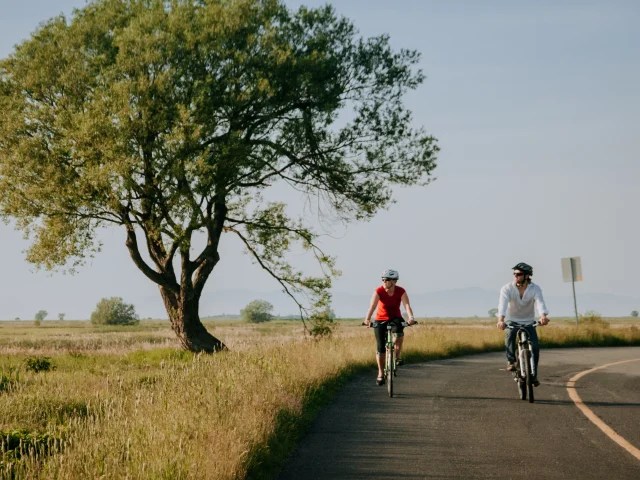 L&rsquo;Isle-aux-Grues, presque une piste&nbsp;cyclable