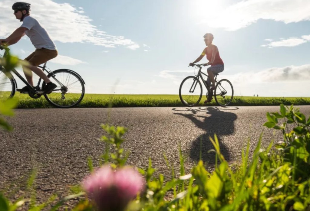 Île d’Orléans : la piste cyclable se fait&nbsp;attendre